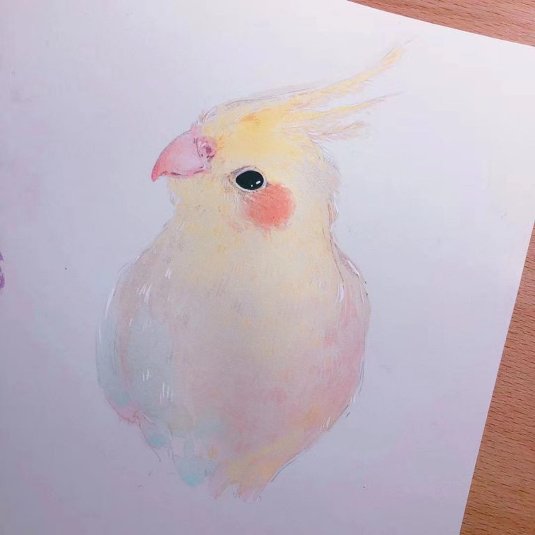 Watercolor
